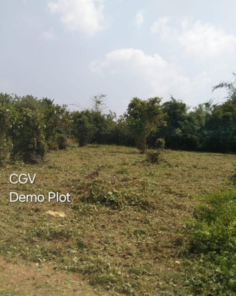 ₹ 7.71LPlot Number 156
📍Near Mountseena  School,  Pathiripala
5.15Cent plot
₹ 1.49L/Cent4032SqFt Buildable Area