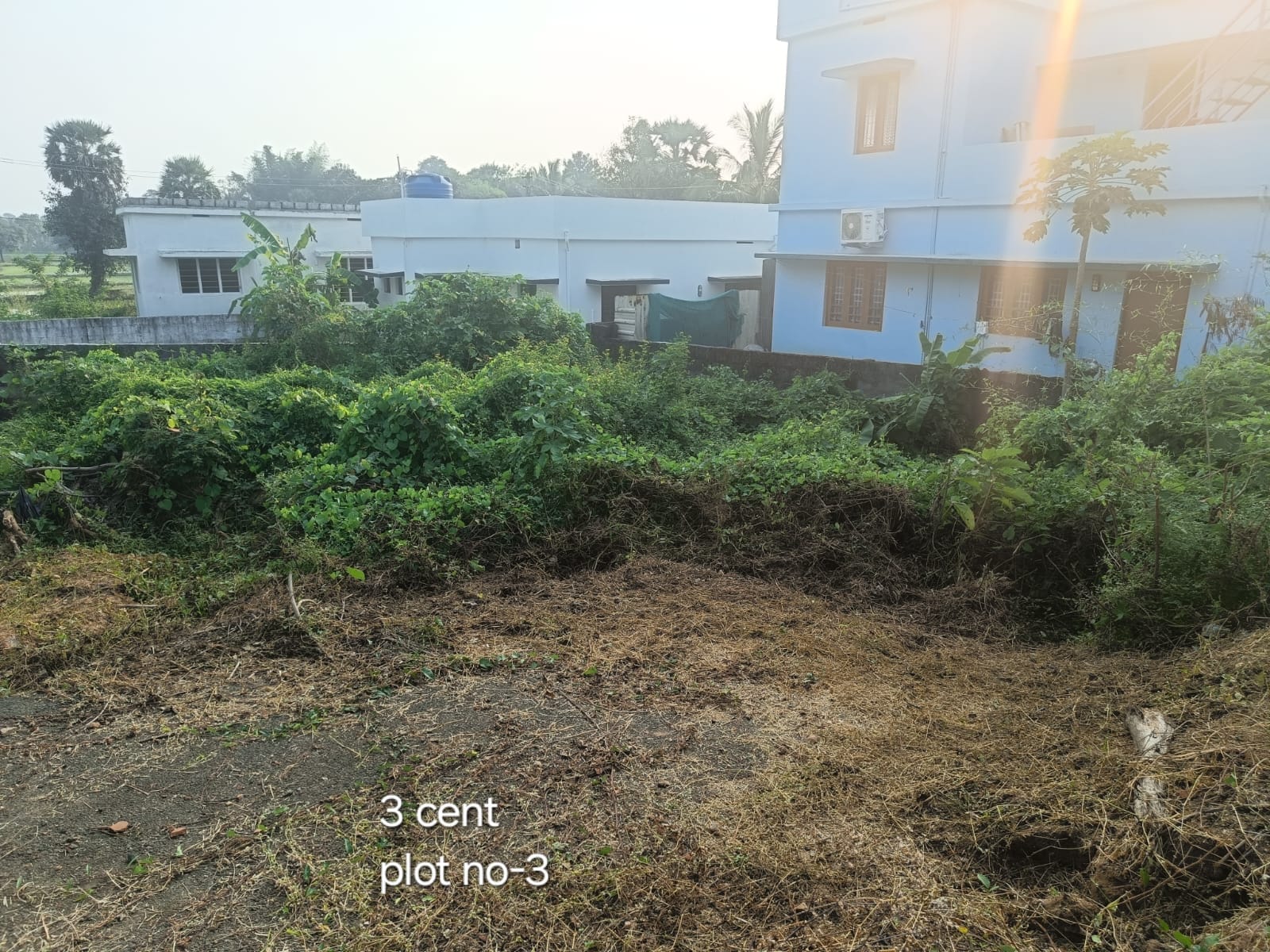 CGE PLOT NO 3