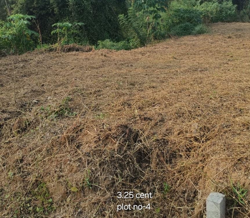 ₹ 11.37LPlot Number 4
📍Near Poly Technic College ,  Palakkad
3.25Cent plot
₹ 3.50L/Cent2544SqFt Buildable Area
