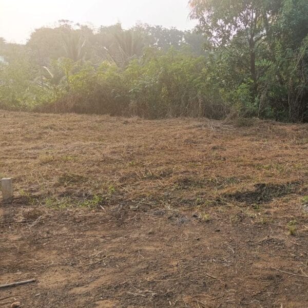 CGE PLOT NO 8 600x600