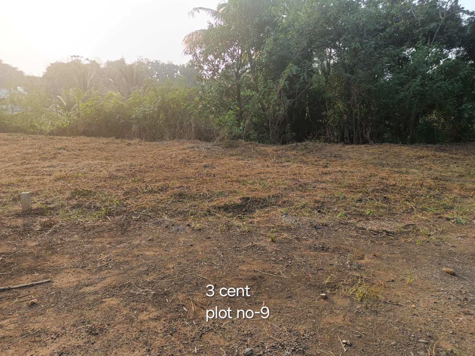 CGE PLOT NO 9