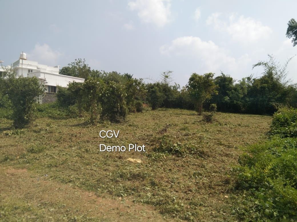 CGV Demo plot