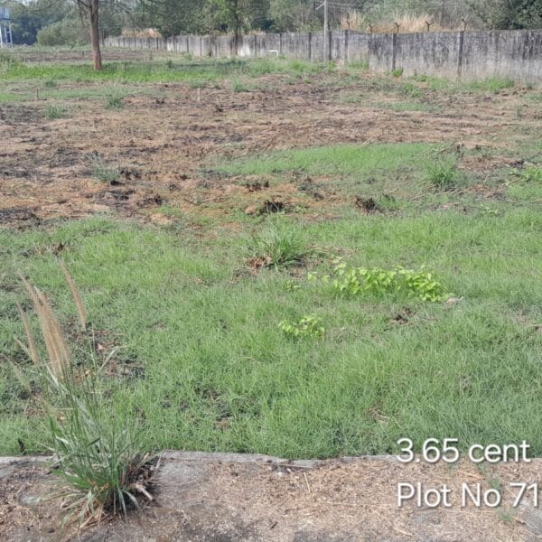 CM PLOT 71 PT 2 1 600x600