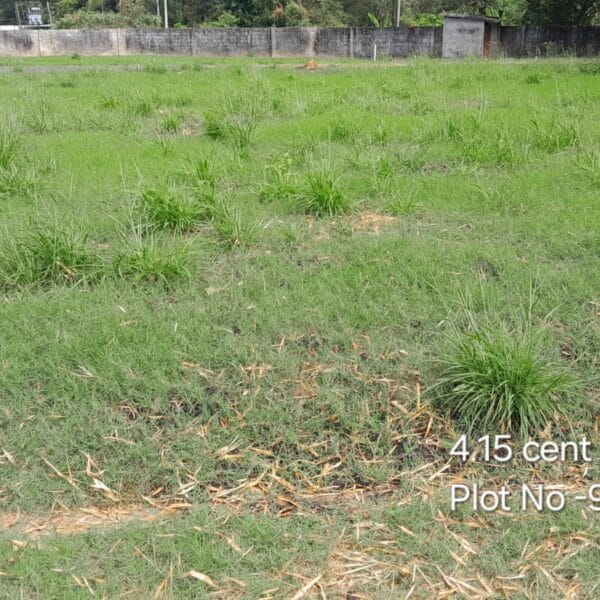 CM PLOT 90 600x600