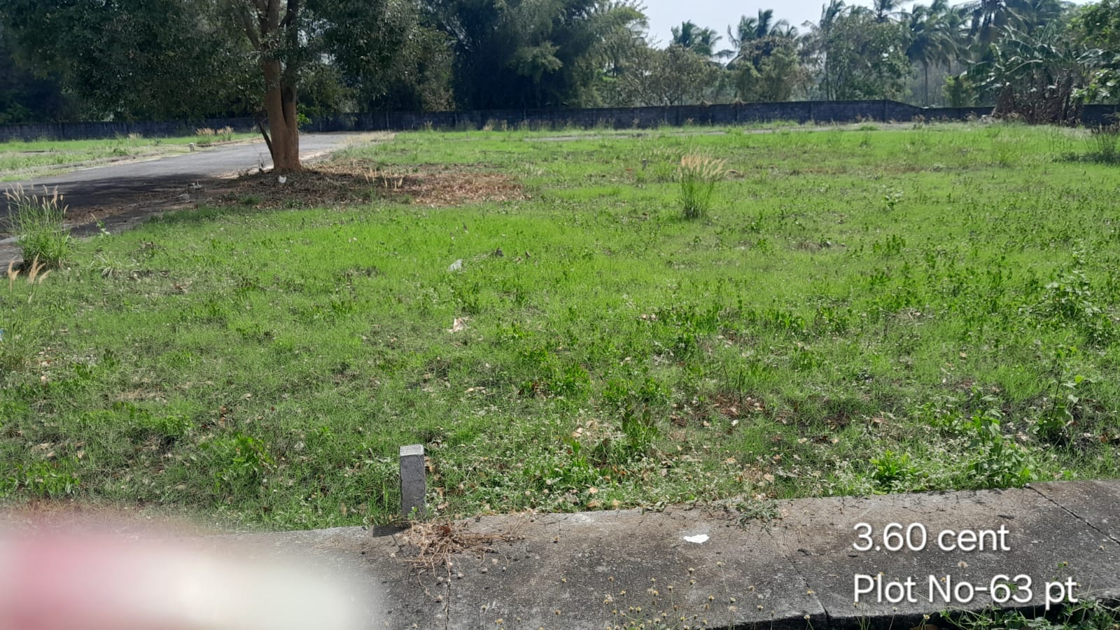 CM Plot-63 pt CM Plot 63 pt
