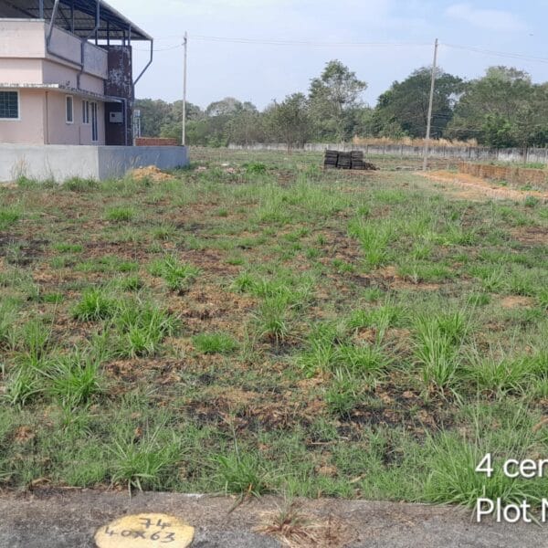 CM Plot 75 pt 600x600