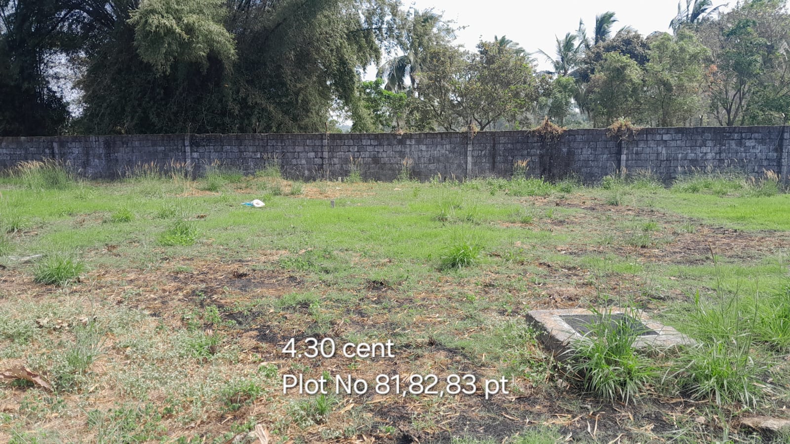 CM Plot-81,82,83pt CM Plot 81,82,83pt