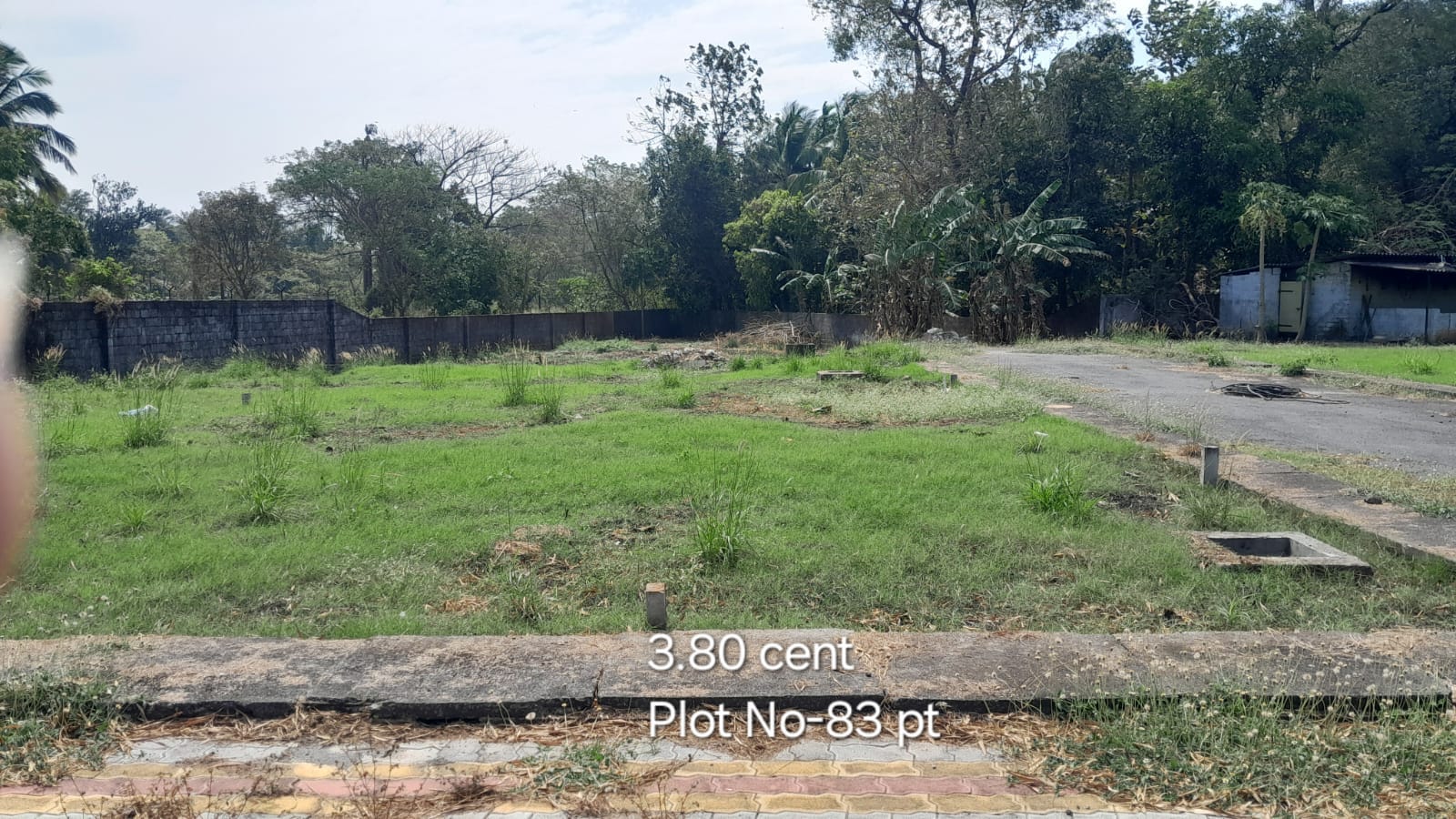 CM Plot-83 pt CM Plot 83 pt