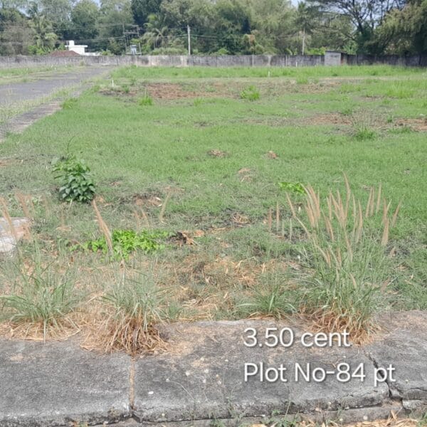 CM Plot 84 pt 600x600