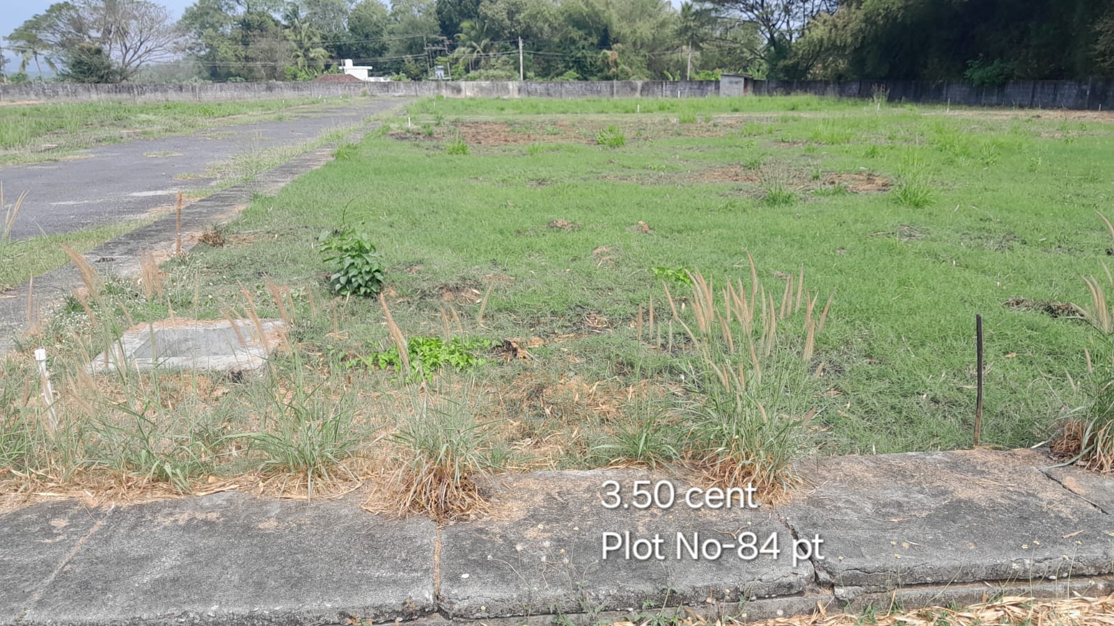 CM Plot-84 pt CM Plot 84 pt