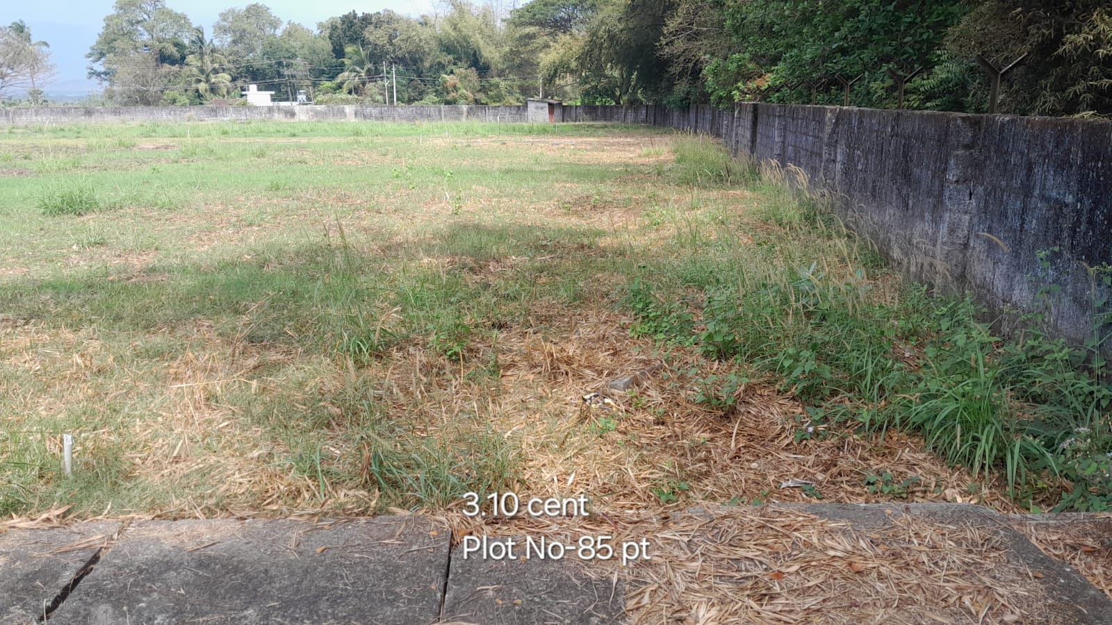 CM Plot-85 pt CM Plot 85 pt