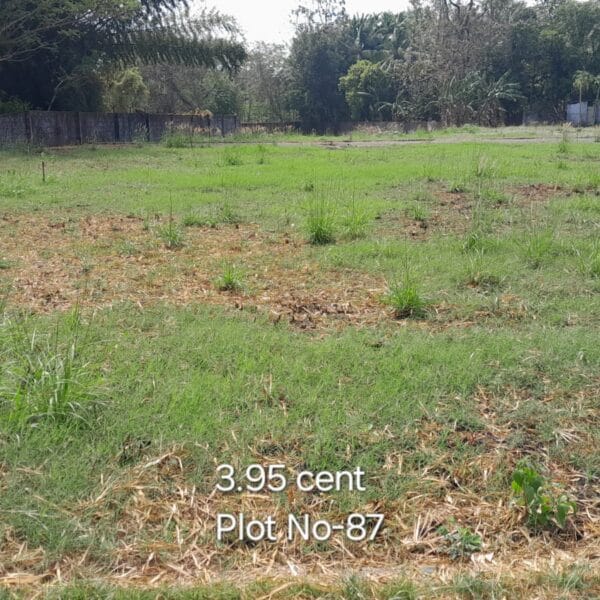 CM Plot 87 600x600
