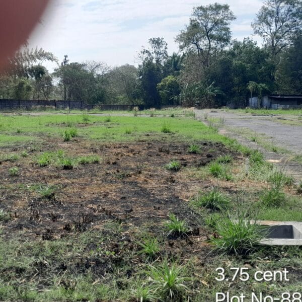 CM Plot 88 600x600