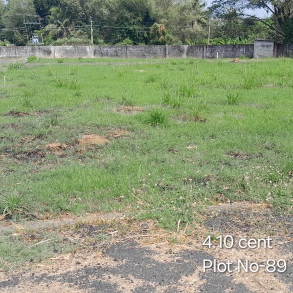 CM Plot 89 600x600