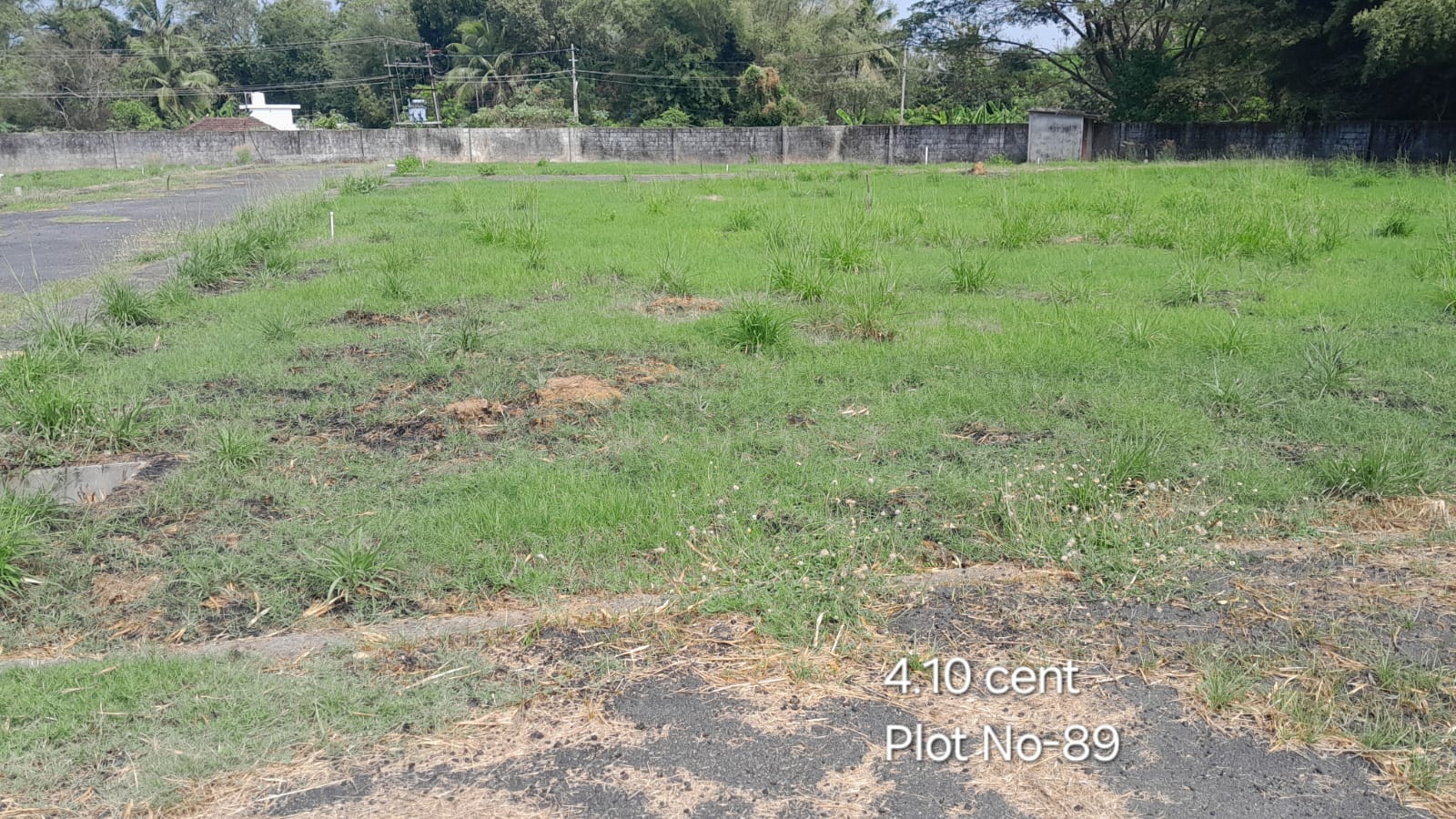CM Plot 89