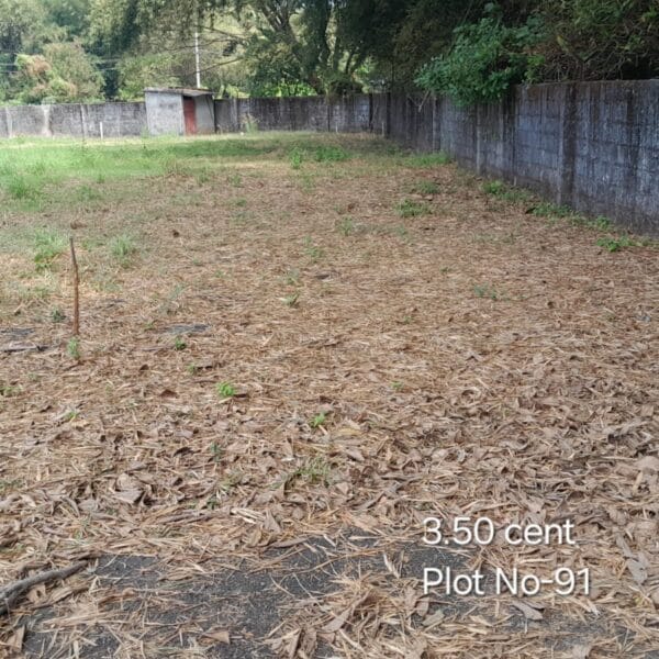 CM Plot 91 600x600