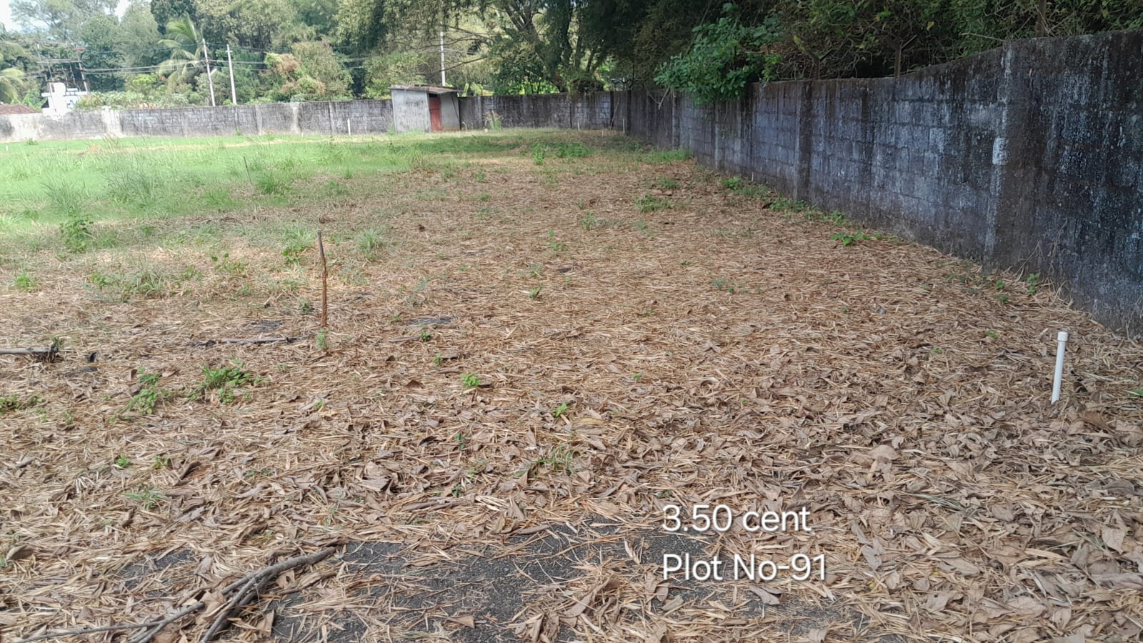 CM Plot-91 CM Plot 91
