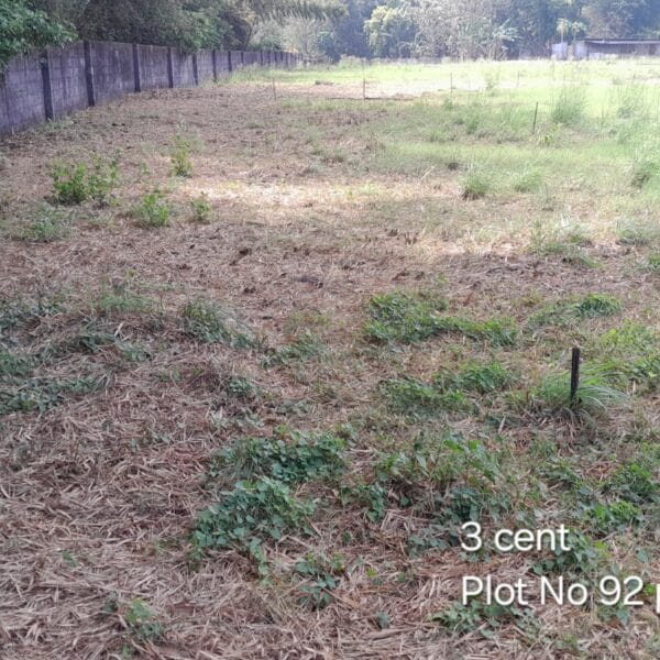 CM Plot 92 pt 600x600