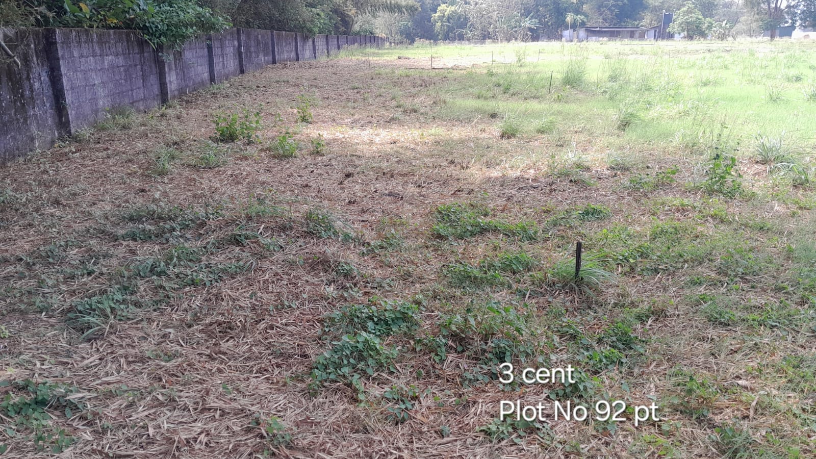 CM Plot 92 pt