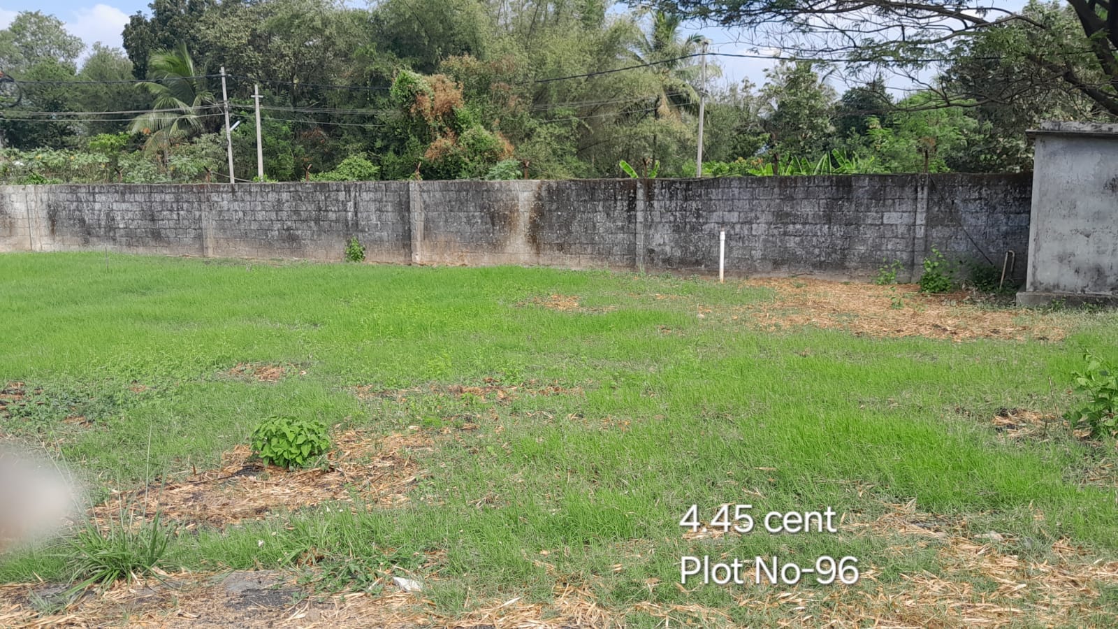 CM Plot 96