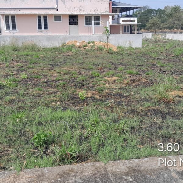 CMPlot 77 pt 600x600