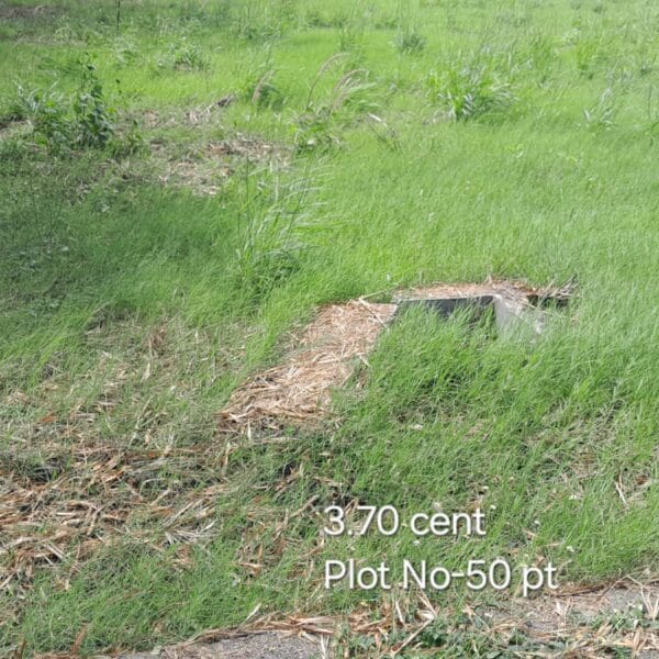 Plot no 50pt 600x600