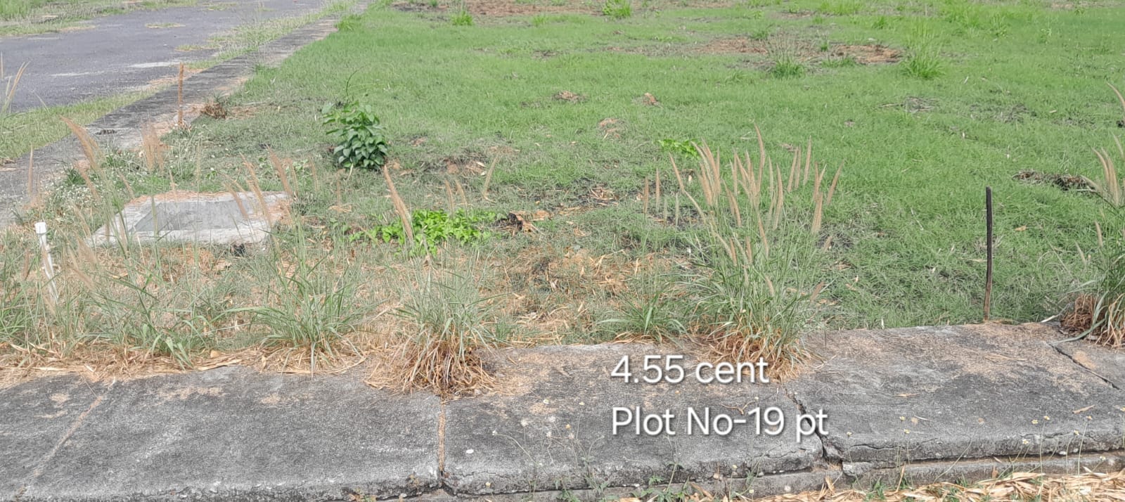 plot no-19 pt Plot no 19 pt