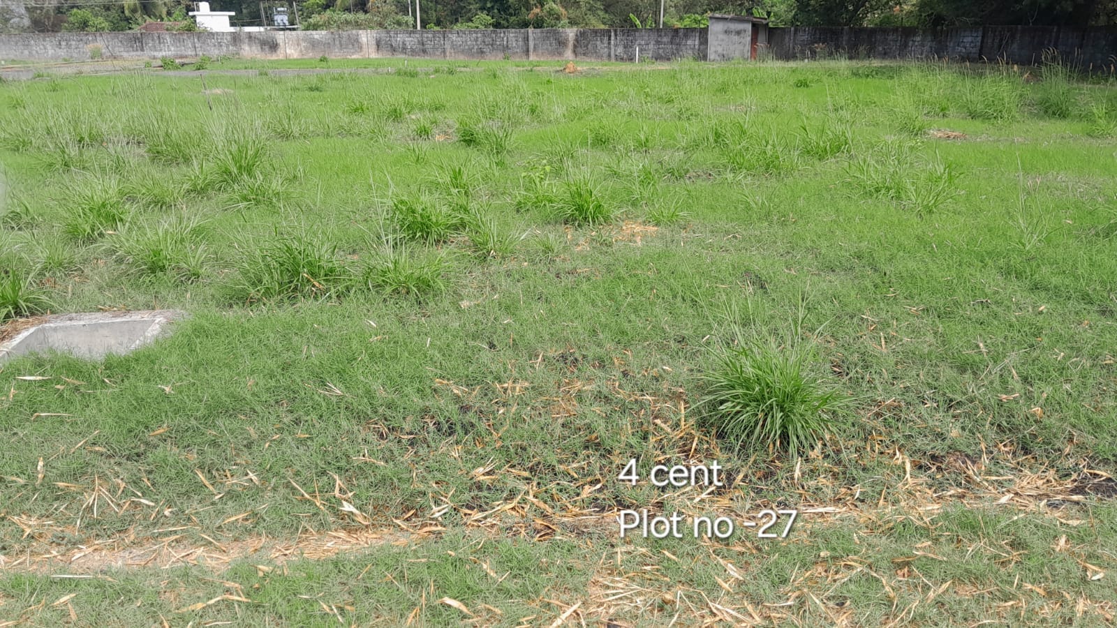Plot no 27