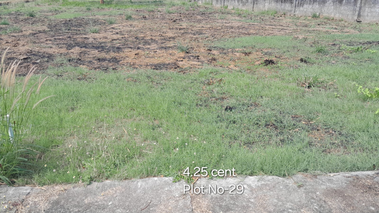 Plot no 29