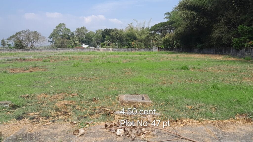 ₹ 10.36LPlot Number 47 pt
📍Near CFD School,Pudur , Palakkad
4.5Cent plot
₹ 2.30L/Cent3523SqFt Buildable Area