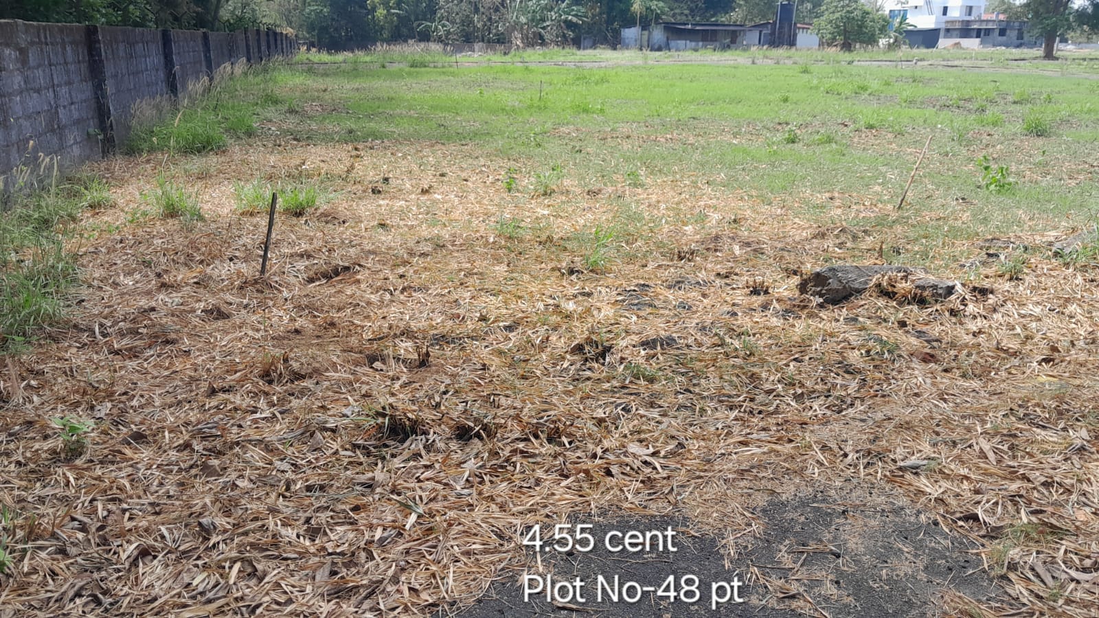 plot no-48 pt Plot no 48 pt
