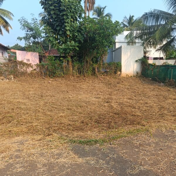 Plot no 3 2